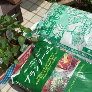 IMG_6988_20150503_124951