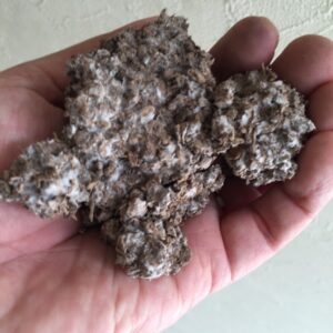 IMG_6989_20150503_125354