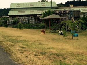 s-IMG_7314_20150609_130752