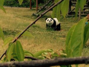 s-IMG_7315_20150609_130815